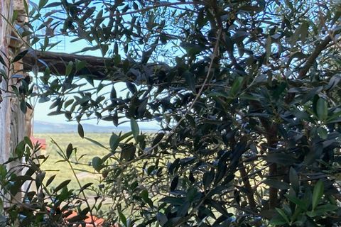 Landejendom i El Perello, Tarragona, El Perello - € 11.000 | Ref: Finca Casa Vist - foto 8
